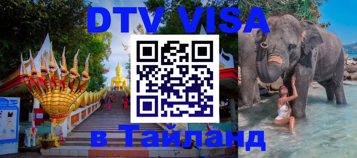 Сколько стоит DTV виза — актуальные цены, оформление даже без документов - 